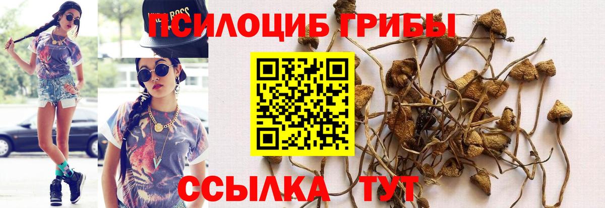Арсеньев  Псилоцибиновые грибы Cubensis  Псилоцибиновые грибы MAGIC MUSHROOMS  Вход с VPN 